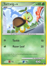 Turtwig