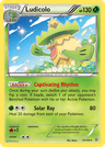 Ludicolo