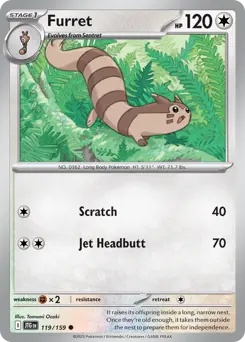Furret